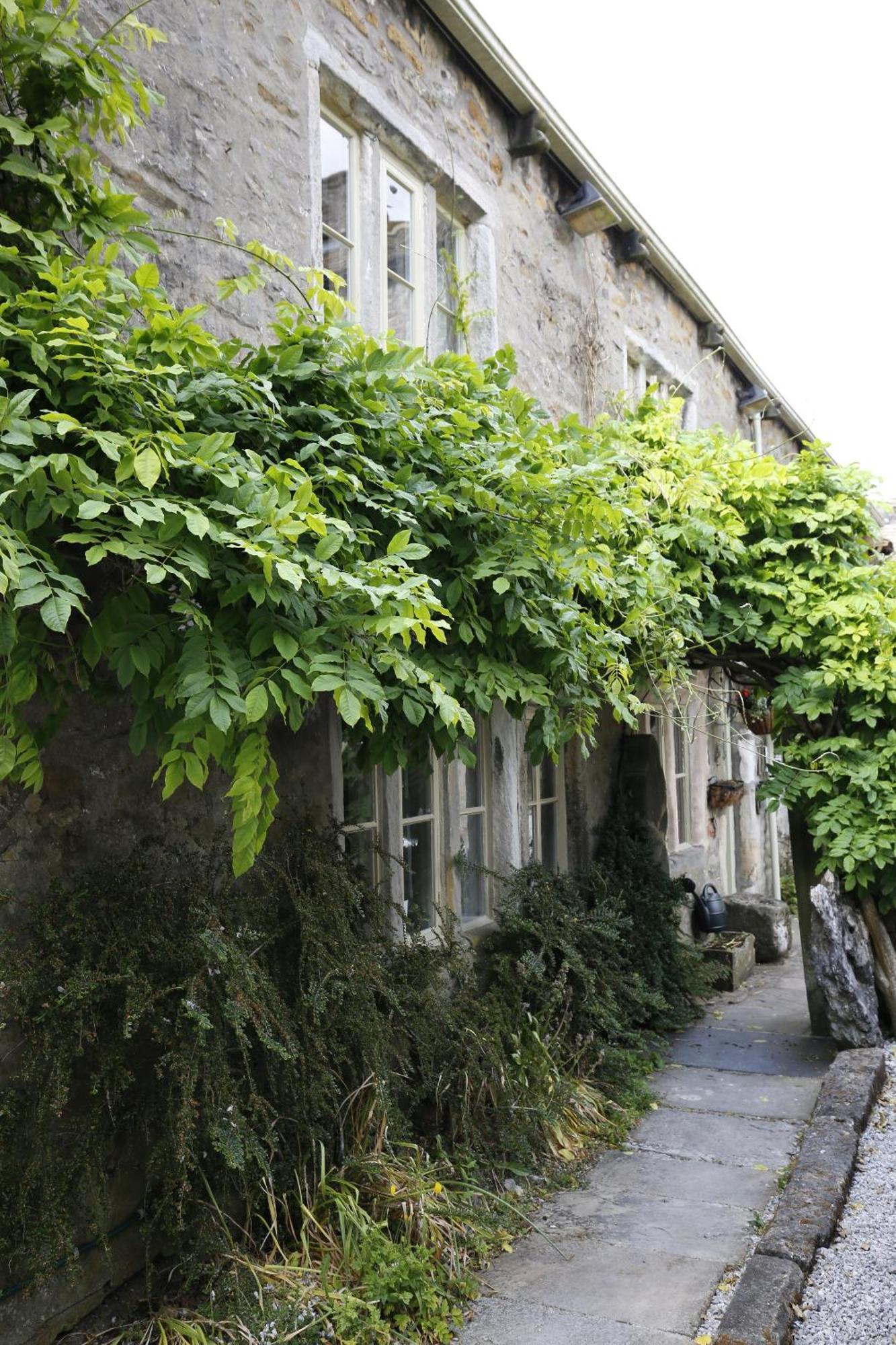 Ashfield House Hotel Grassington Kültér fotó A climbing vine
